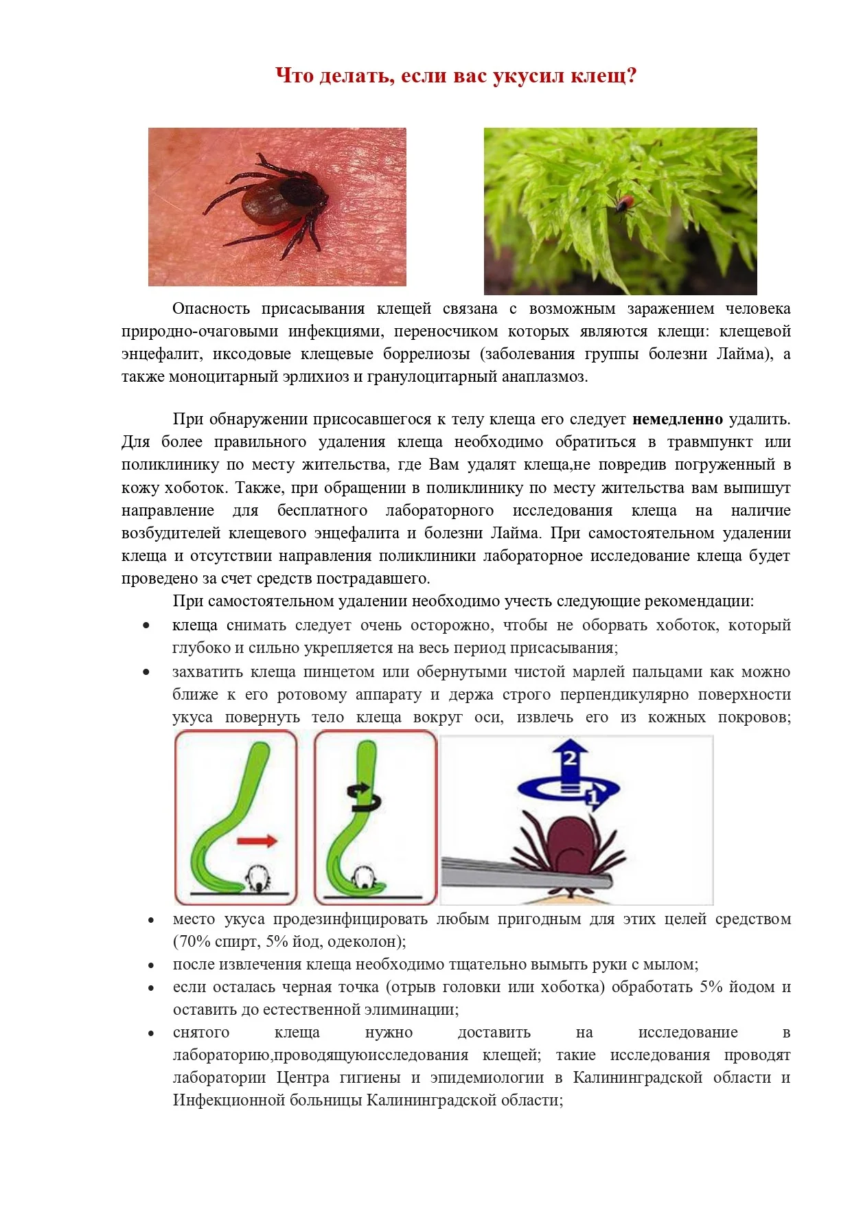 клещ_page-0001.jpg