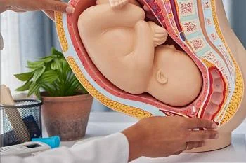 В Гурьевском муниципальном округе начал работу новый «Кабинет женского репродуктивного здоровья» В Гурьевском муниципальном округе начал работу новый «Кабинет женского репродуктивного здоровья»