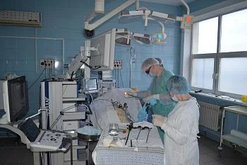 Калининградские хирурги совершили прорыв в сфере минимально инвазивной хирургии почек Калининградские хирурги совершили прорыв в сфере минимально инвазивной хирургии почек
