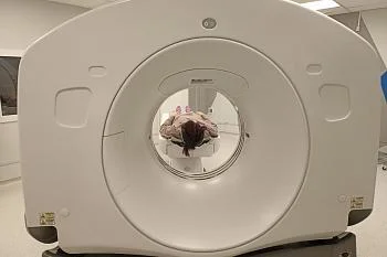 Около четырехсот исследований проведено в Советске на новом компьютерном томографе