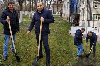 На территории больниц и поликлиник  региона стартовал «Зеленый марафон»